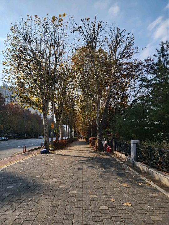 ⭐서울 올림픽공원 하루 코스 – 거대한 엄지상 구경하고, 가을 댑싸리 걷고, 청와옥에서 마무리!