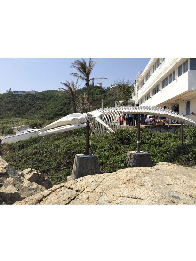 🌊鶴咀打卡行山遊｜峽谷美景、梅菜特產＋打卡雷音洞燈塔！