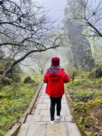 Ham Rong Magic🌄🌳☁️