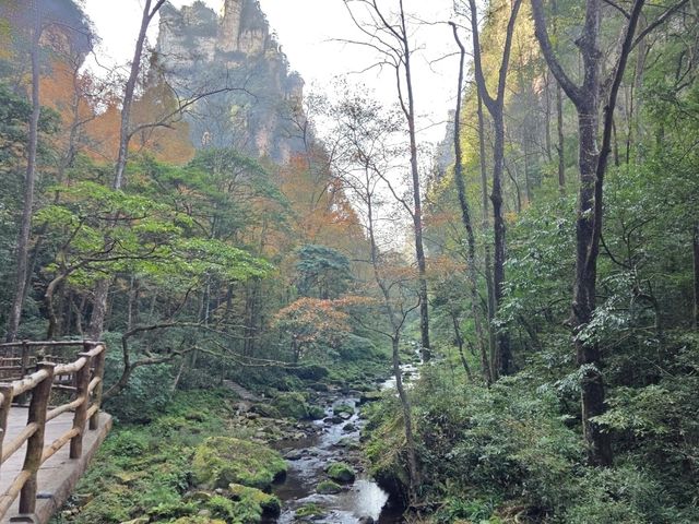 คู่มือเที่ยวหูหนาน 7 วัน ด้วยตนเอง