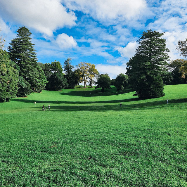 เดินชิลที่ Monte Cecilia Park สูดอากาศดีเต็มปอด