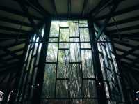 Bringing Nature Home: Unique Souvenirs from Wetland Studios Putrajaya