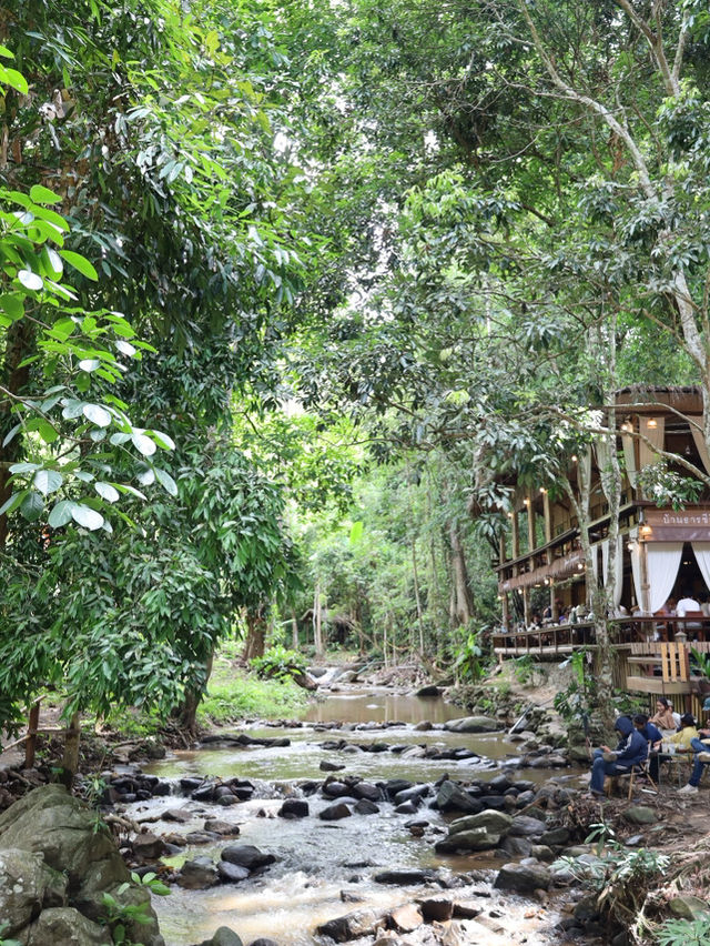 ⭐ บ้านธารชีวี – เชียงดาว จ.เชียงใหม่ ⭐ บ้านธารชีวี – เชียงดาว จ.เชียงใหม่