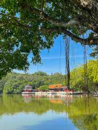 주해 여행에서 꼭 가야할 곳⭐️