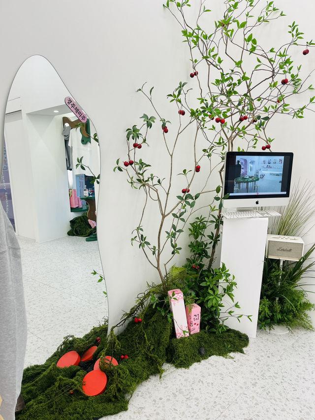 경주 이색적인 소품샵 추천 경주 이색적인 소품샵 추천