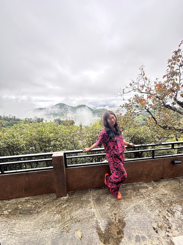 เที่ยวดอยแม่สองเชียงรายกันคะ