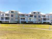 🤍Dreamy Gem Of Sydney🤍