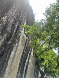 Xian, with its breathtaking beauty and serene surroundings, truly touches everyone’s hearts