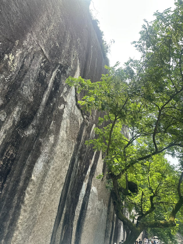 Xian, with its breathtaking beauty and serene surroundings, truly touches everyone’s hearts