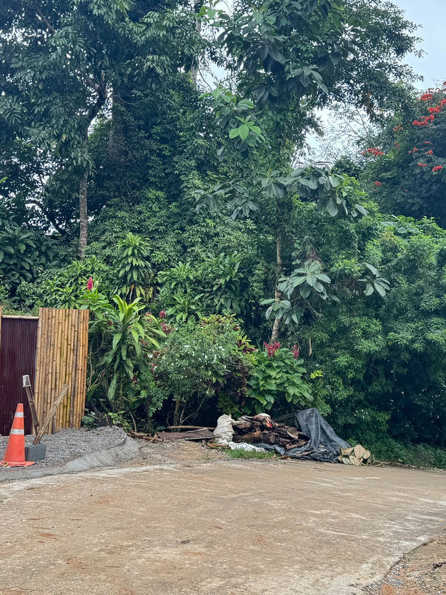 บ้านแม่แมะ เชียงดาว — หมู่บ้านกลางหุบเขาที่เงียบ บ้านแม่แมะ เชียงดาว — หมู่บ้านกลางหุบเขาที่เงียบ