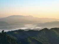 “ดอยแม่สลอง…สัมผัสหมอก อากาศดี และวิวหลักล้าน”🌄