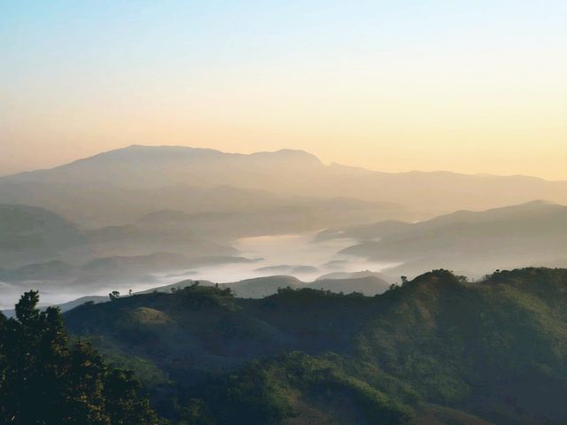 “ดอยแม่สลอง…สัมผัสหมอก อากาศดี และวิวหลักล้าน”🌄