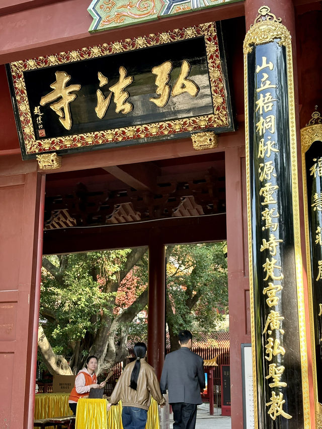 深圳仙湖弘法半日遊,自然療癒與禪意體驗 深圳仙湖弘法半日遊,自然療癒與禪意體驗