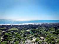 Coastal Holiday Stop Before Christmas Gift Hunting