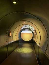 칭다오 여행 필수 코스, 칭다오 맥주 박물관