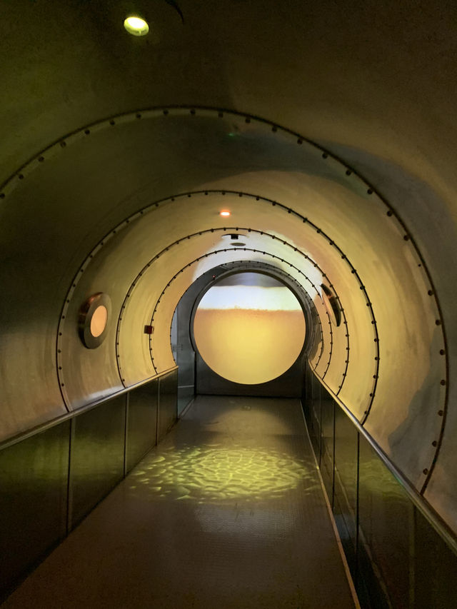 칭다오 여행 필수 코스, 칭다오 맥주 박물관 칭다오 여행 필수 코스, 칭다오 맥주 박물관