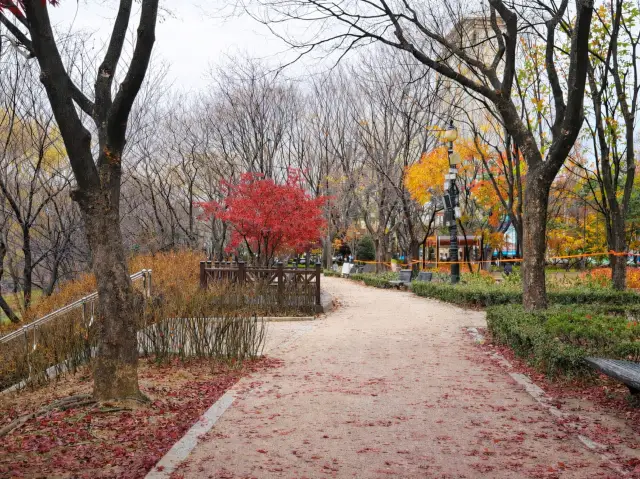 A Day at Lotte World After a Long Time