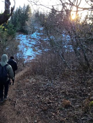 Eastern Lookout: A Hidden Gem for Hikers