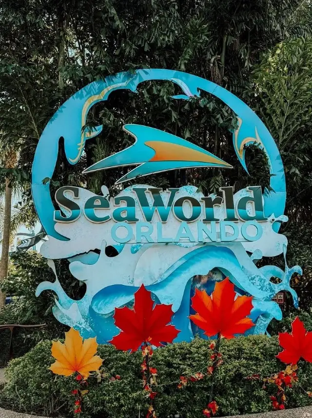 My Unforgettable Day at Orlando SeaWorld