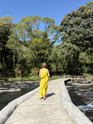 【미야자키】 마이너스 이온 충분히 🌿 일부러 가는 가치 있는 추천 SPOT 🚙