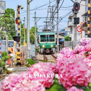 誰もが一度は訪れるべき梅雨の鎌倉。