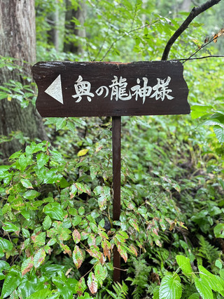 新潟縣中魚沼郡_「龍窪」秘境中名水百選的龍之水，湖水是翠綠白菜🥬