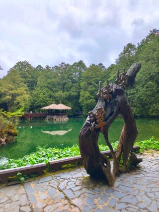 DIY Alishan Adventure: Enchanted Vibes & Epic Train Rides 🚂🌲