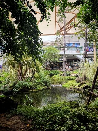 Didn’t expect to get my daily walk in… inside a mall 🌳🚶♀️