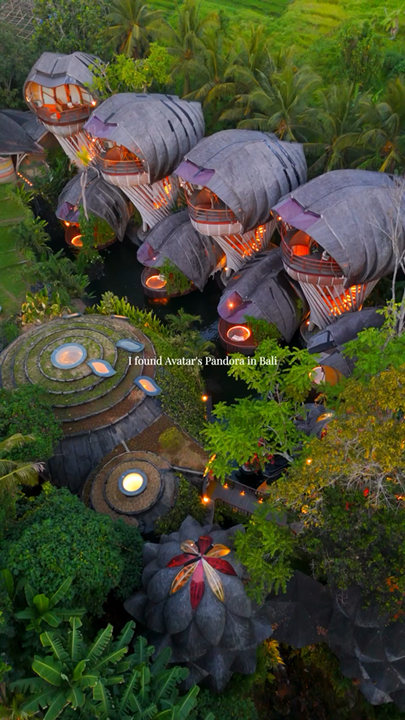 🏆 5 Resor Mewah Terbaik di Bali
Bvlgari Resort Bali — Uluwatu
⭐️ Terbaik untuk: kemewahan ultra & romantis
Lokasi tebing yang dramatis dan pemandangan Samudra Hindia
Vila yang sangat privat
Salah satu resor paling eksklusif di Bali.
Four Seasons Resort Bali At Sayan — Ubud
⭐️ Terbaik untuk: hutan & kesehatan
Dikelilingi oleh hutan hujan dan Sungai Ayung
Layanan dan vila yang luar biasa
Seringkali masuk dalam peringkat hotel mewah terbaik di Bali.
Capella Ubud, Bali — Ubud
⭐️ Terbaik untuk: pengalaman mewah yang unik
Vila tenda mewah di hutan hujan
Sangat romantis dan terpencil
Pilihan yang sangat baik untuk bulan madu/pasangan.
Mandapa, a Ritz-Carlton Reserve — Ubud
⭐️ Terbaik untuk: budaya Bali + kemewahan
Pemandangan Sungai Ayung yang indah
Sawah terasering, hutan, dan vila privat
Suasana Bali yang lebih tradisional.

Resort St. Regis Bali — Nusa Dua
⭐️ Terbaik untuk: kemewahan pantai
Lokasi langsung di tepi pantai
Kamar elegan dan pilihan vila pribadi
Sangat cocok jika Anda menginginkan resor pantai bintang 5 klasik daripada tempat peristirahatan di hutan.

#travel #bali #thailand #couplestrip #beachlife #naturalwonders #thingstodo #familytravel #resorts #trip #indonesiatrip #malaysia