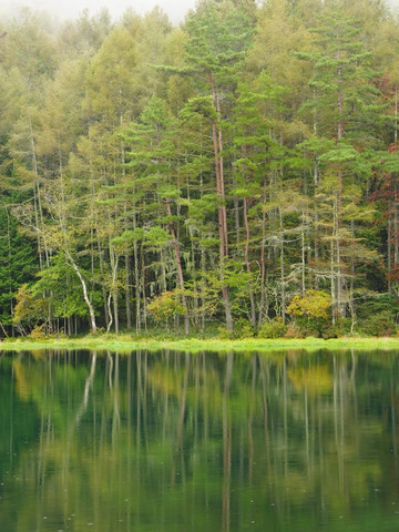 A breathtaking landscape woven from greenery and tranquility: the