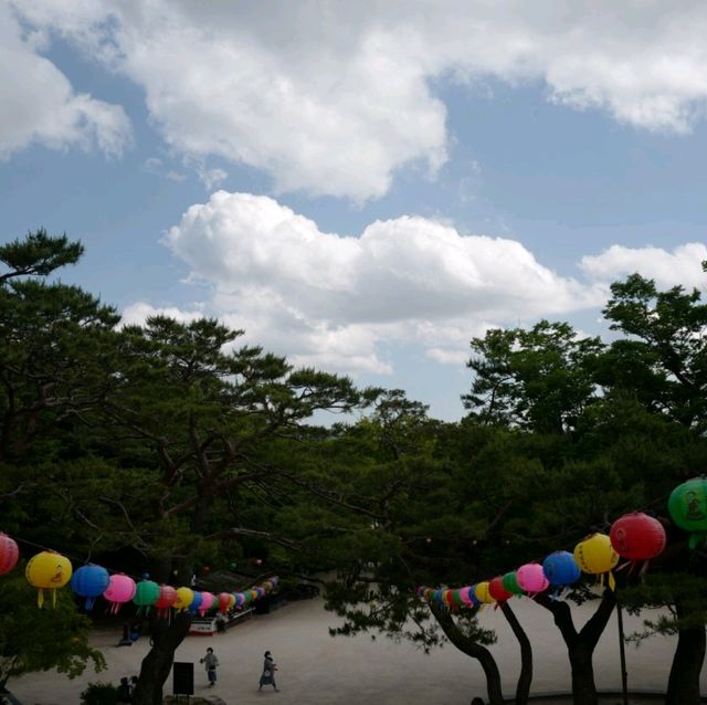 두근두근여름휴가 경주 필수 여행 코스 불국사