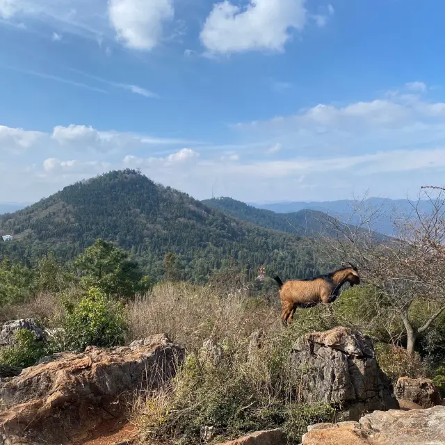 Xishan Forest Park - The Perfect Day Trip 