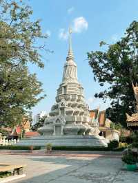 When in Cambodia, Silver Pagoda for the shot📸