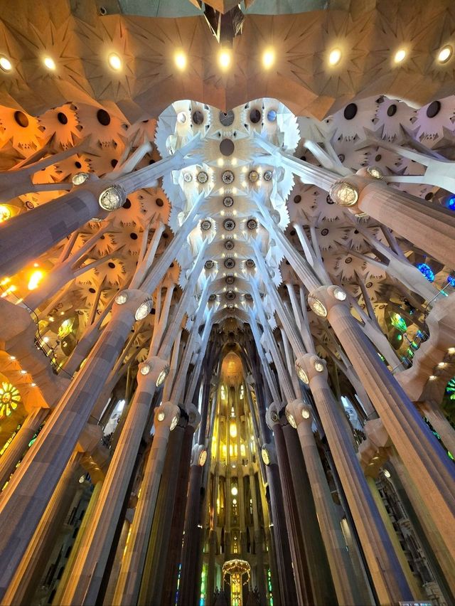 Inside or outside? Sagrada Família makes it impossible to choose