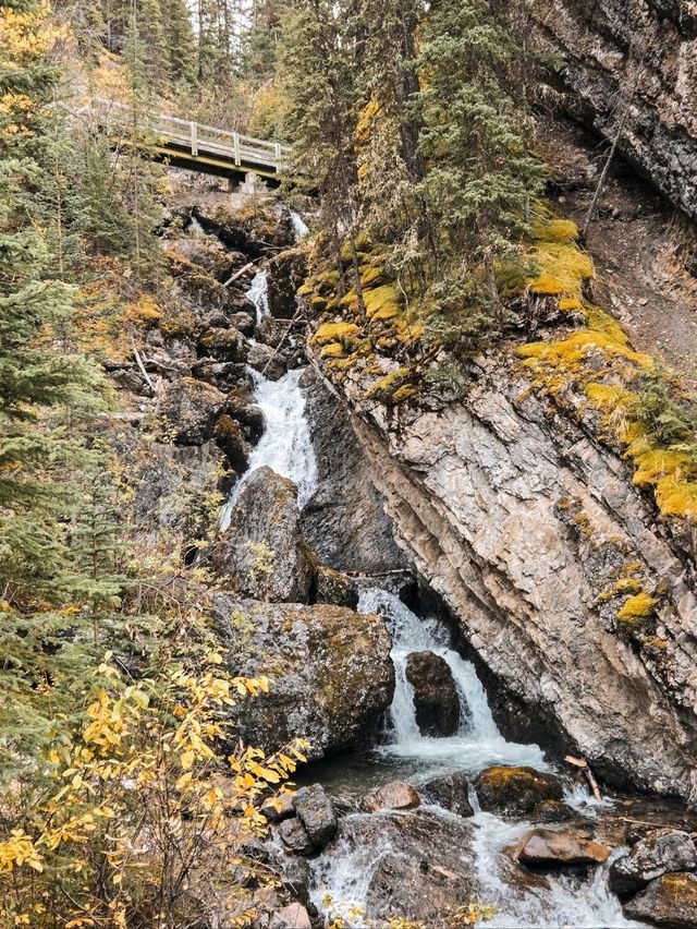 Banff's hidden gem for those who don't like hiking💎