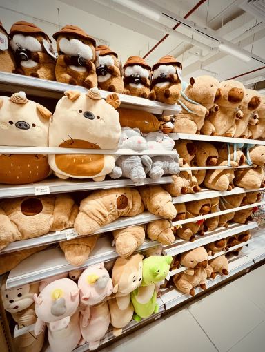 便利な生活雑貨店「Mr D.I.Y.」。 | Trip.com Kepulauan Yapen Regency