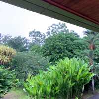 Fantastic one night stay in the rainforest 