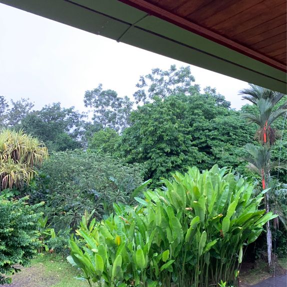 Fantastic one night stay in the rainforest 