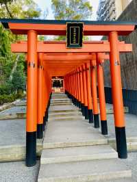 【兵庫県/生田神社⛩️】