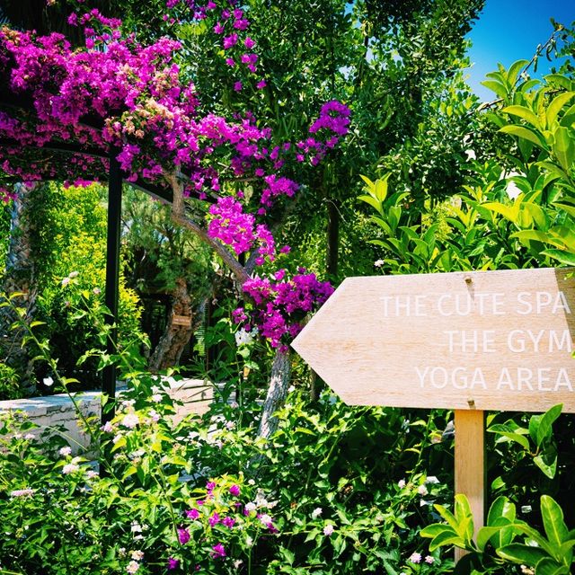  Cretan Malia Park, Design Hotel 🌿