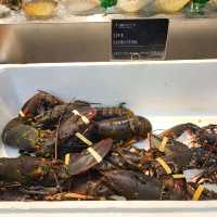 🦞🥩英國最大的室內巿場🥦🦐