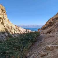 Enjoying the wonder of the Ein Gedi oasis 