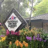 Singapore botanical gardens 🌺