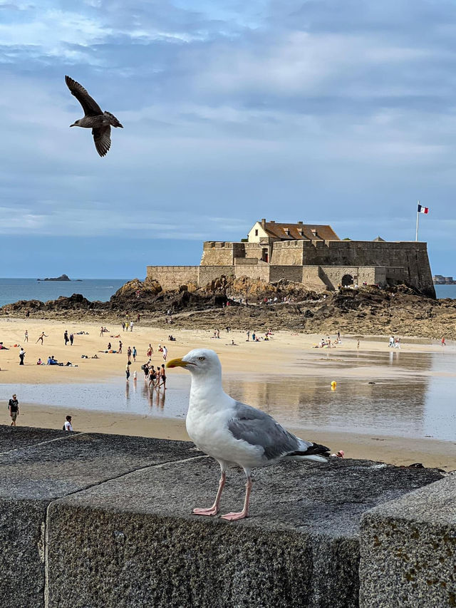 Bretagne was magical 🇫🇷