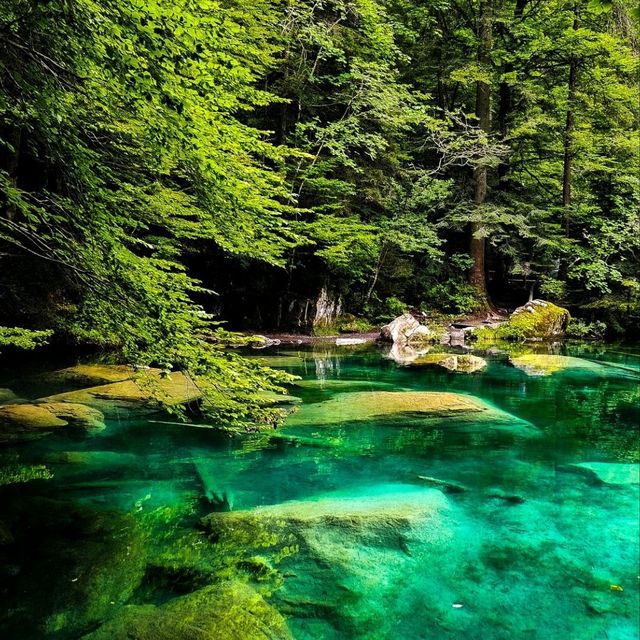 Switzerland: A Symphony of Nature and Charm