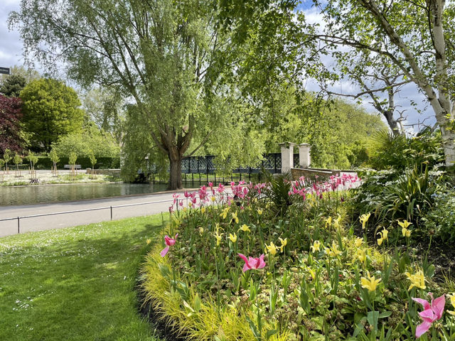 Hidden Gems in Camden & Regent’s Park: A Half-Day Escape