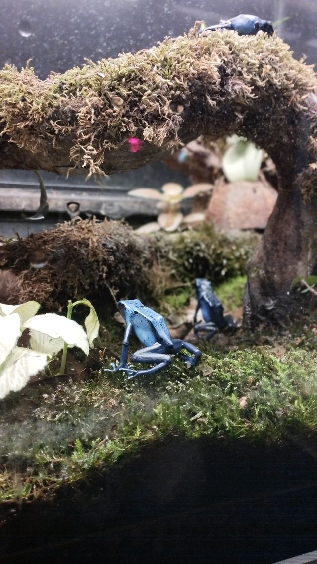 Tallinn Zoo - Estonia