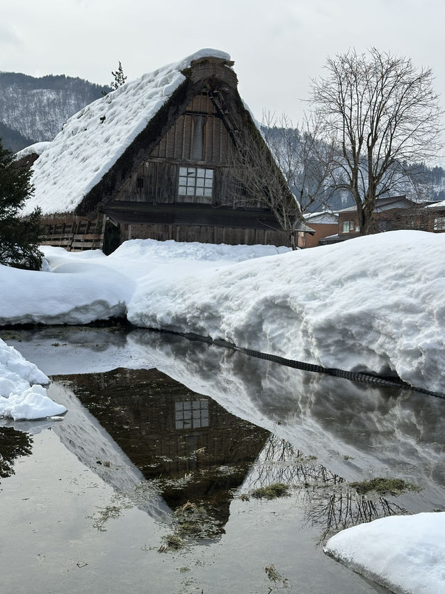 ❄️ Shirakawa-go: A Winter Wonderland Straight Out of a Fairytale ❄️