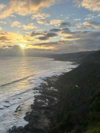 🌊🚗 The Ultimate Great Ocean Road Adventure: Wildlife & Iconic Views 🦘🐨