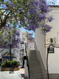 Magic Malaga in May